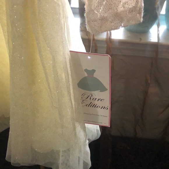 Rare Edition Little Girls Lace and Sheer w/lining Party dress - Picture 3 of 5